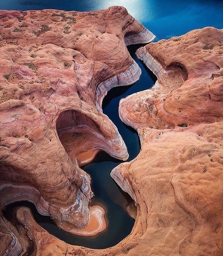 wildmerch's tweet photo. Bird’s-eye view of Lake Powell 🚁
📷 @antonyspencer
#lake #nature #sky #sun #water
#landscape #beautiful #photooftheday
#instagood #photography #travel
#amazing #fun #sea #love #beauty
#naturephotography #view #summer
#pretty #picoftheday #blue #bhfyp https://t.co/G6AaYeiBEQ
