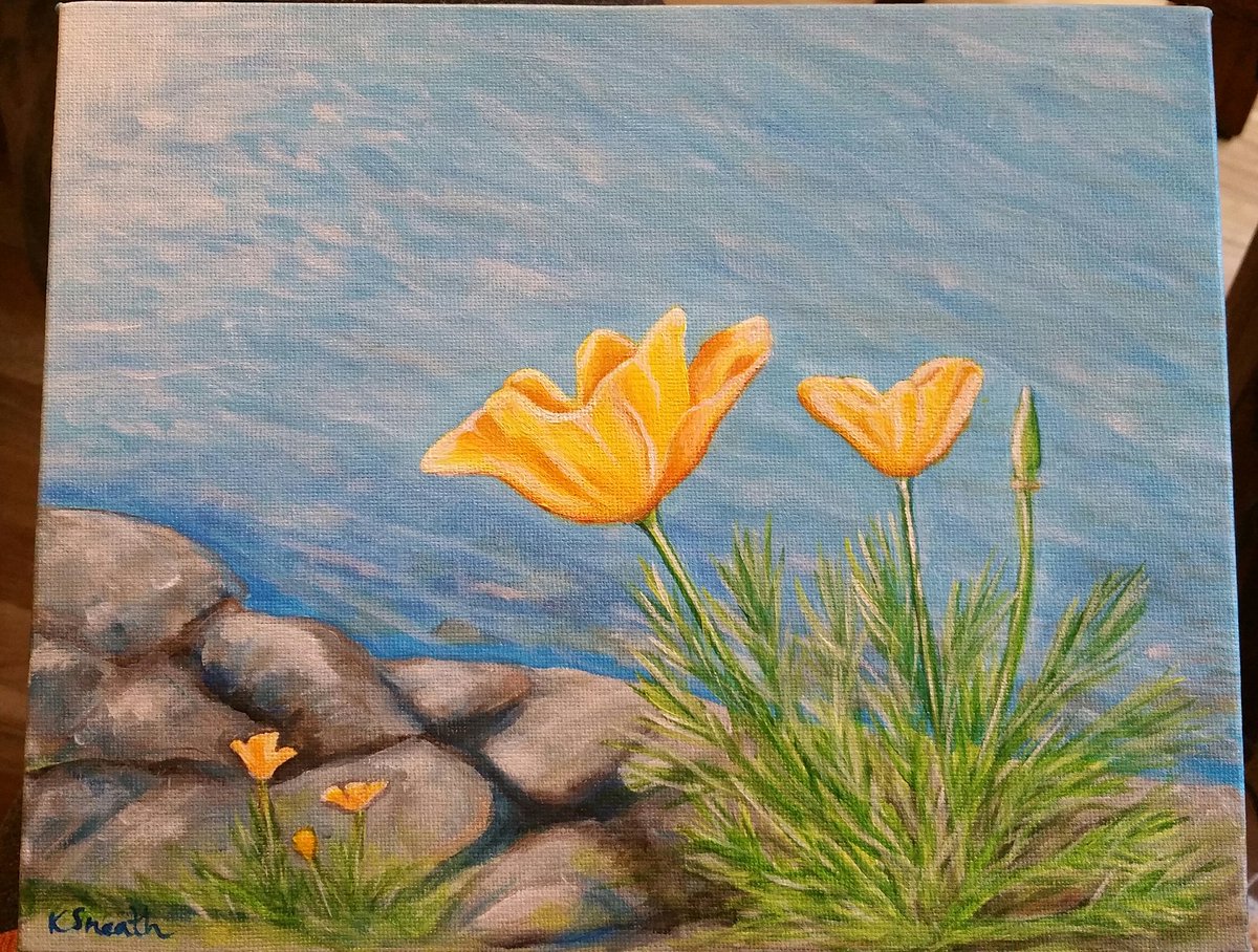 Just finished! This is a gift for my lovely Auntie &amp; Uncle. Going to be staying with them in Devon in April....can't wait!! Inspired by my own photo taken on a walk on #bainbridgeisland 😃💗 #californiapoppies #sea #ocean #wildflowers #bythesea #painting
