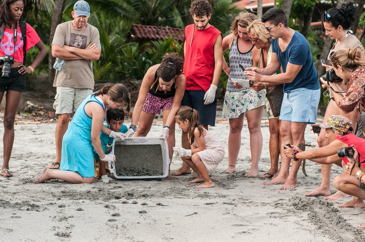 Volunteering in Costa Rica is a dream for many! Join <a href="/BambaExperience/">Bamba Travel</a> in Costa Rica for an exciting volunteer &amp; tour that will leave you feeling positively fulfilled!

govoluntouring.com/costa-rica-vol…

#costarica #voluntour #volunteerandtravel #govoluntouring