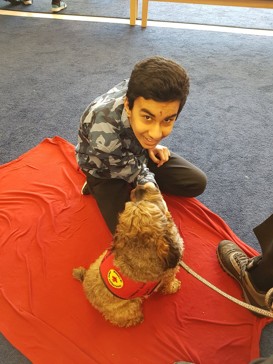 D_Hamilton_PDSB's tweet photo. Rufus and Nicky were like celebrities @BerylFordPS today! An afternoon with these gentle therapy dogs was exactly what we all needed on this brisk Friday. You couldn't help but smile and feel their love and warmth in the room! @TherapeuticPaws @PeelSchools #dogsoftwitter https://t.co/00kZlu6ktu