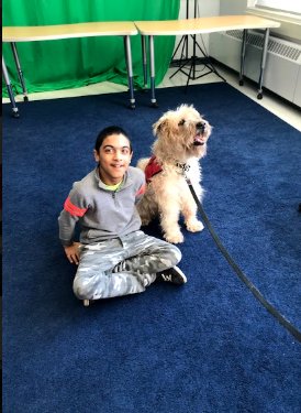 D_Hamilton_PDSB's tweet photo. Rufus and Nicky were like celebrities @BerylFordPS today! An afternoon with these gentle therapy dogs was exactly what we all needed on this brisk Friday. You couldn't help but smile and feel their love and warmth in the room! @TherapeuticPaws @PeelSchools #dogsoftwitter https://t.co/00kZlu6ktu