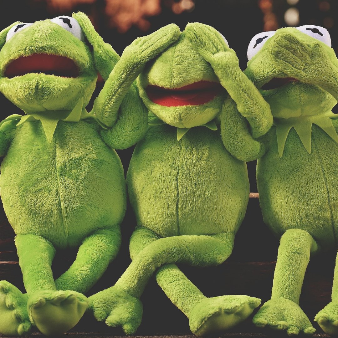 VetBabble's tweet photo. Fact: Frogs absorb substances through their skin. 🐸 If you have lotion on your hands, and touch our frog it could poison them. Read more about frog care in our Frog Care Guide: 
https://t.co/0EF3Wx1qNW https://t.co/MnTUDwgOJY