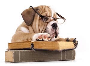 CPMS_OCPS's tweet photo. Congratulations to Ally S. (6th), the winner of this week’s ”Get Caught Reading Contest!” Mrs. Barringer would like to thank all of our Bulldog readers who participated in Celebrate Literacy Week, Florida!
#CollegeParkMiddleSchoolOCPS #Advancedocps #CPMSBulldogs https://t.co/FM7NtlR5XM