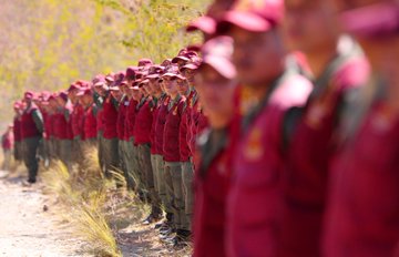 Ver imagen en Twitter