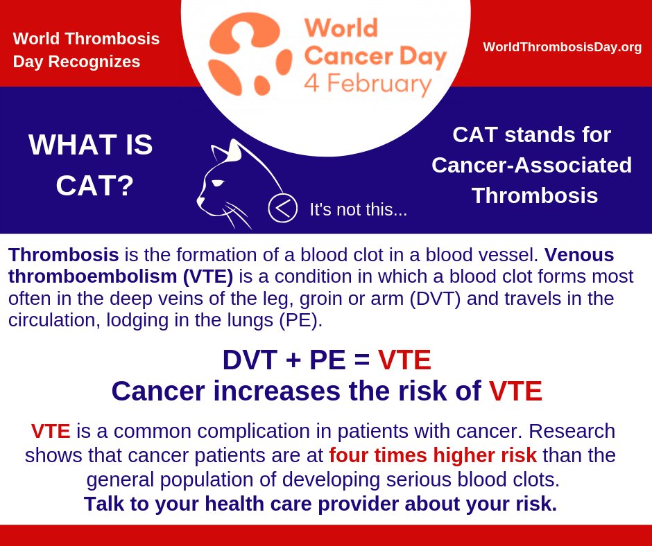 thrombosisday's tweet photo. World Thrombosis Day Stands with #worldcancerday2019. Cancer increases your risk of a blood clot. It's important to know they signs and symptoms of VTE before it happens to you. https://t.co/wJ5EAU9KNn https://t.co/3gJgYRbaRB