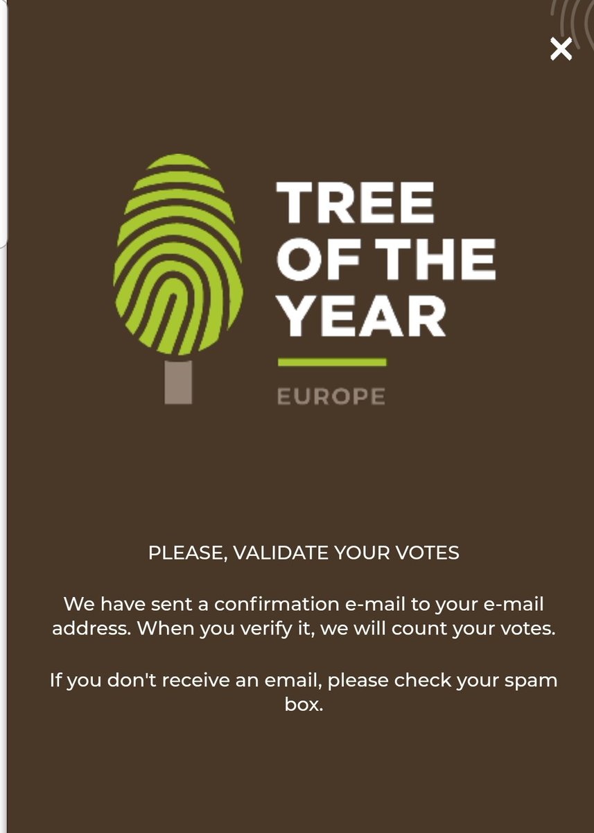 NelliesTree's tweet photo. How to Vote for #euroTOTY

https://t.co/mKO6pblewq your chosen trees (make sure 1 is @NelliesTree)
2. Enter your details
3. Click Vote
4. Wait for the email and click the confirmation LINK

If you are not recieving the confirmation emails try a gmail account these work fine. https://t.co/UOEzxPfz4I