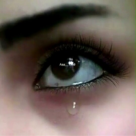 #صورة_ملف_شخصي_جديدة