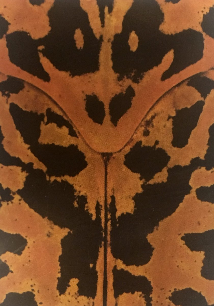 Zaterdag ben ik uitgedaagd door <a href="/LLSchild/">LLSchild</a> om elke dag, en dat een week lang, de omslag van een boek te delen zonder toelichting, hierbij de keuze voor mijn zesde dag! #BookCoverChallenge