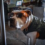 Photo by Family Industries (@FamilyIndLA)
