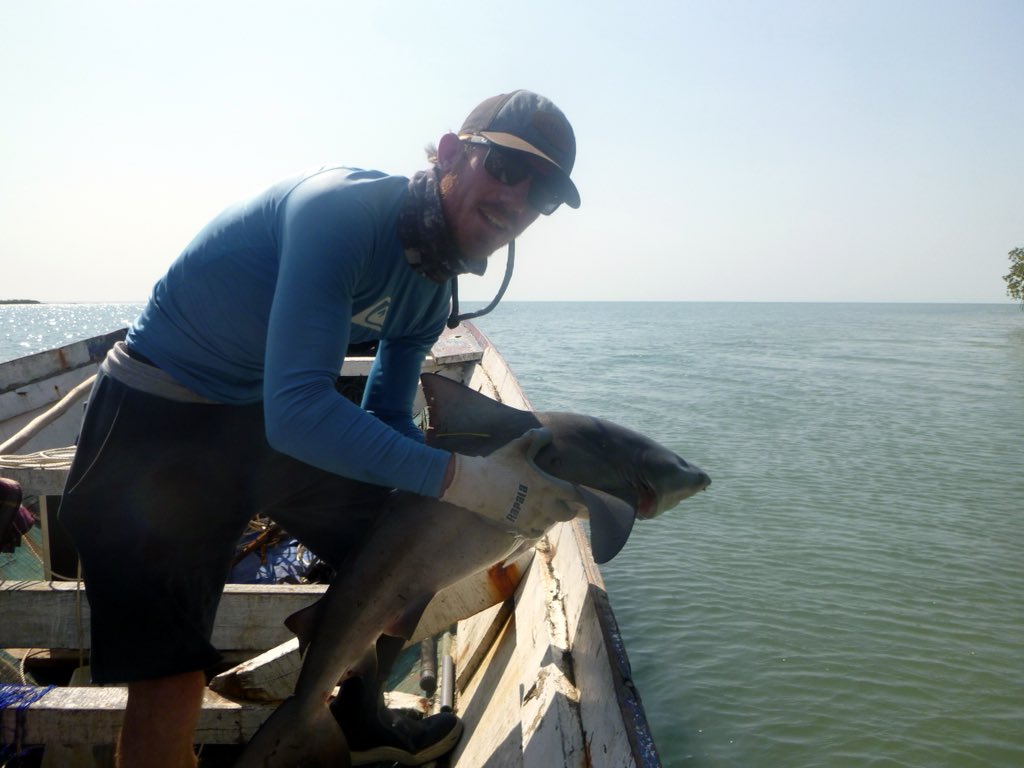 Laura Govers tweet media