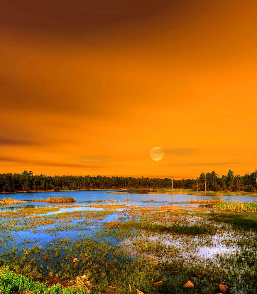 기뻐하는 것도
습관이 됩니다.
내가 기쁘면
가족이 기쁘고
주위 사람이 기쁩니다.
오늘
기쁜 일이 많이많이
생기도록 웃으며
즐겁게 보내세요.
-오늘부터
가벼워지는 삶-중에서