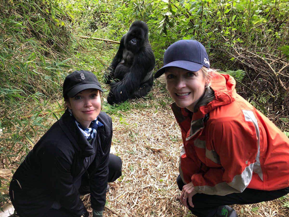 BellamyYoung's tweet photo. I met gorillas today. 😲😍🤯 They were soooooo lovely. I hiked a volcano to meet them. I can't believe any of it, but here are some pictures that seems to say it happened. 😁 Love you, #Rwanda ! And love you, gorillas!!! 🦍🇷🇼❤️🦍🇷🇼❤️ https://t.co/pSFPcknhp4