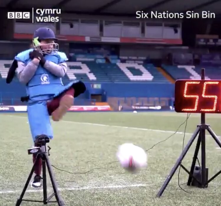 rachtaylor13's tweet image. Reactions of a cat 😂 #SinBin