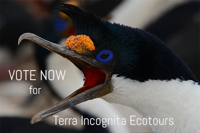 ecotours's tweet photo. Travel + Leisure World's Best Award! Please help us by casting your vote for Terra Incognita Ecotours in the "Tour Operators and Safari Outfitters" category. Go to: https://t.co/yoiA3mVFKg https://t.co/HbJqq9Pt8v https://t.co/GhHqYGK3vy