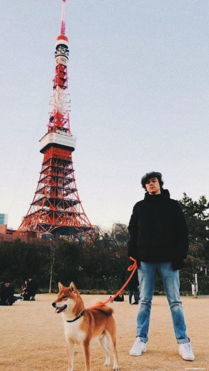 lockscreenghost's tweet image. lockscreens harry styles 💫
fav se gostar
rt se pegar {precisa estar nos seguindo} 
um bebê, sempre - violet