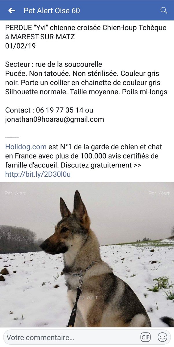 Petalert60 Hashtag On Twitter