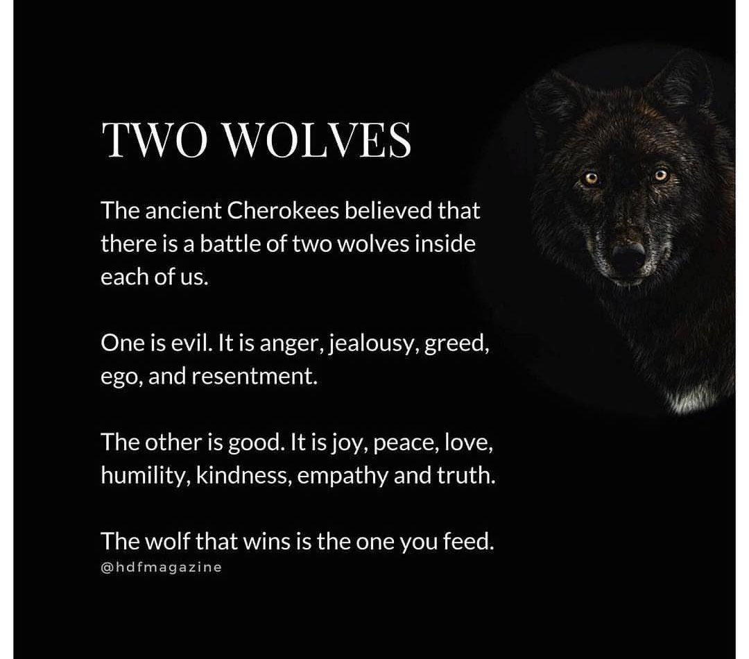 MyCorpCollect's tweet image. Which Wolf Are You Feeding ow.ly/lCrc30nsIxv