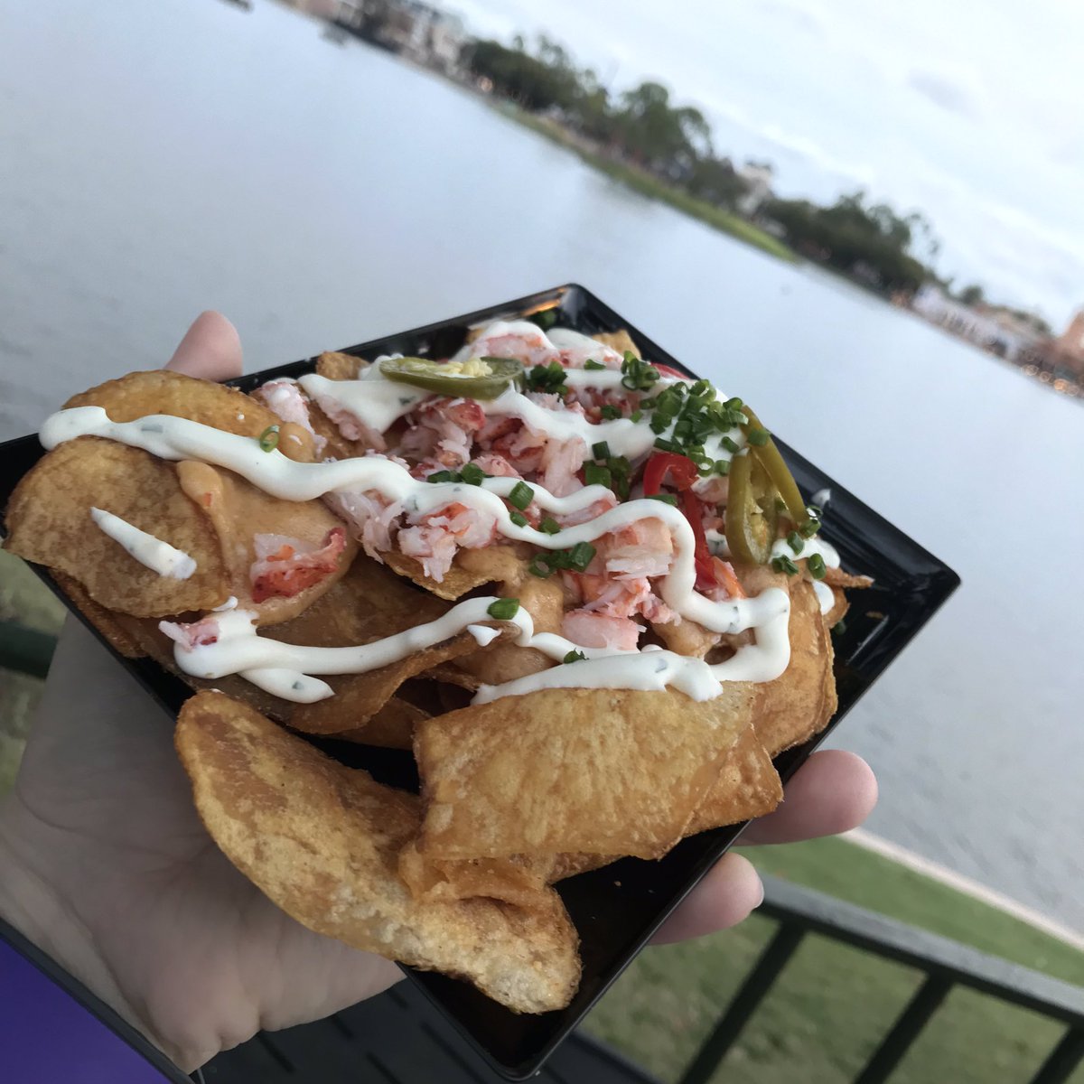 ThatDisFamily's tweet image. We never go to Refreshment Port but after this poutine and these lobster chips our routine may have changed... #epcot #epcotfestivalofthearts #poutine