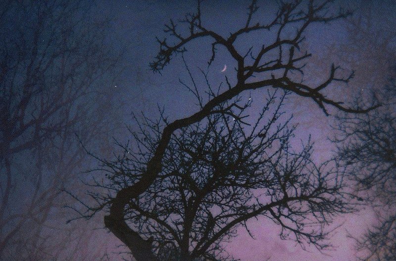 Archillect (@archillect) on Twitter photo 