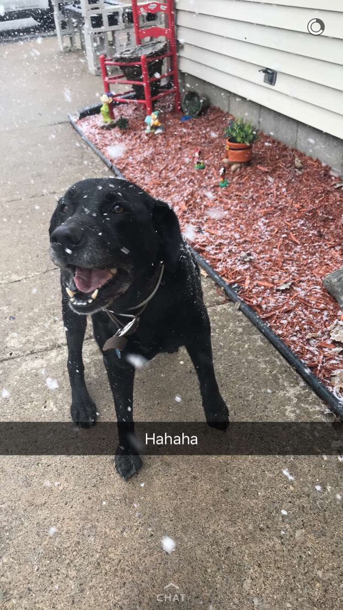 Ryan Kijurna tweet media