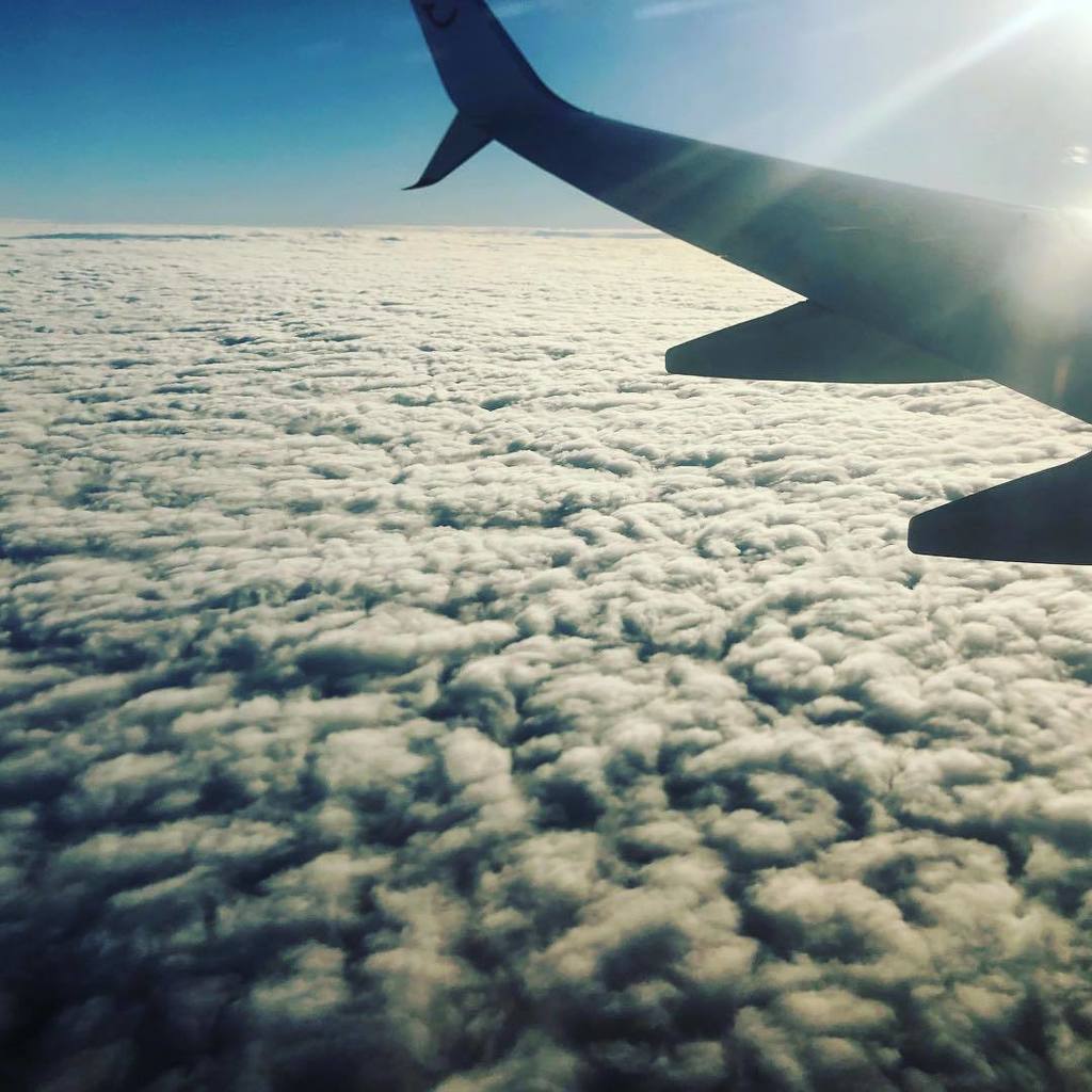 LaFayetteTR's tweet photo. S’envoyer en l’air #travelphotography #airplane_lovers #partir https://t.co/8K474IHnfX