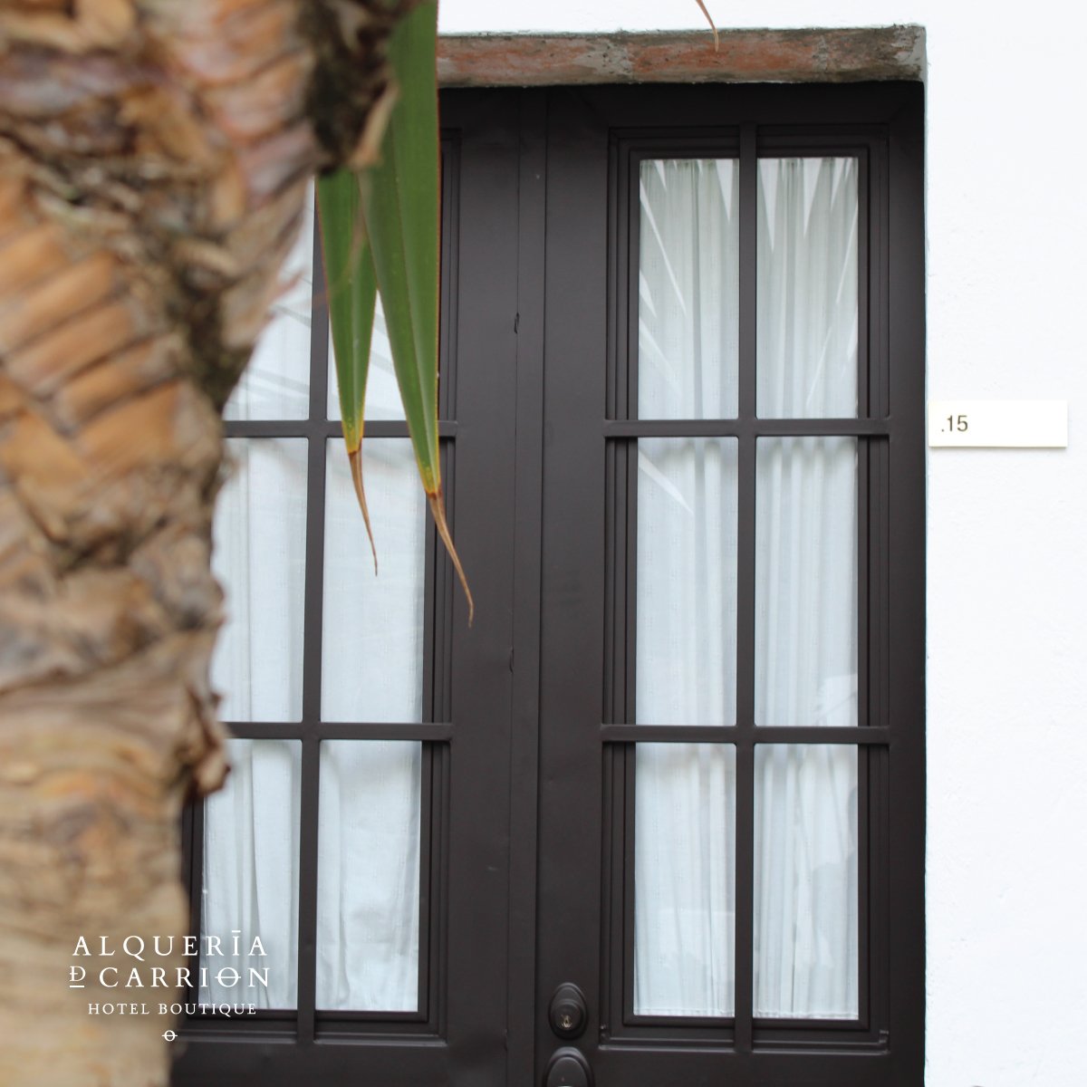 Convierte tu visita en una experiencia inigualable 🌴✨// Turn your visit into an unparalleled experience

#hotelboutique #Atlixco #Puebla #Tesorosdemexico #Atlixcomagico