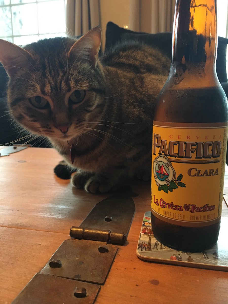 Happy Friday! Alexie had to be apart of it😺 <a href="/Pacifico/">joseph ferrari</a> <a href="/ManvsAle/">👤Man vs Ale🍺</a> <a href="/RJellyman/">Jellyman</a> <a href="/tilbeerdouspart/">Til Beer Do Us Part 🍻 Dan And Lizzie</a> <a href="/badhopper/">Jason Hopper</a> <a href="/ephoustonbill/">EPHoustonBill</a> <a href="/sandieGOlakers/">Powdered Toast Man</a> @Paul_TheBeerGuy <a href="/zappafaye/">Donna</a> <a href="/Just4BeerLovers/">Just For Beer Lovers</a> @wolv54b1 <a href="/DRE_Go_Fish/">Darrin Everitt</a>