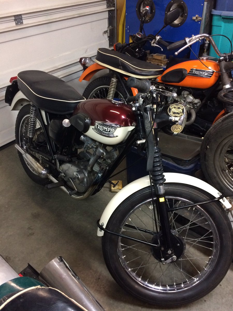 HooligansCycles's tweet photo. Tiger Cub in for a tank repair and service... #Triumph #TriumphT20 #triumphtigercub #vintagemotorcycle #classicmotorcycle #Britishmotorcycle #motorcyclerestoration #rideimust #hbcparts #hooliganscycles #hooligansbritishcycles https://t.co/IuypZ1BKIw