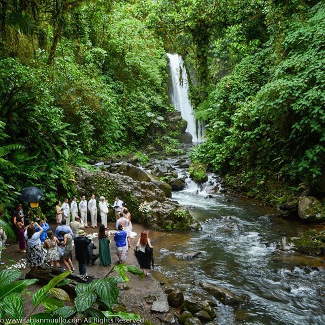 fabian_tico's tweet photo. Best waterfall venue in Costa Rica, La Paz Waterfall Gardens
@peacelodgeweddings @peacelodgeandwaterfallgardens .
.
.
.
.
#costaricawedding #costaricaphotographer #fabianmurillo #waterfallwedding #butterfly #peacelodge #waterfallgardens #rainforestwedd… https://t.co/9EfnkvIUUU https://t.co/A93bdLpzjw
