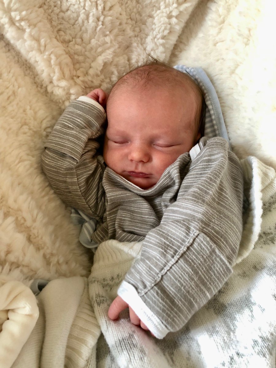 RuffTuffDadStuf's tweet photo. They never sleep this peacefully at 4am ...
@rufftuffkidstuff #newborn #peaceful #nap #dadof3boys #dadlife @babyharbour https://t.co/PDO4hhAYGh