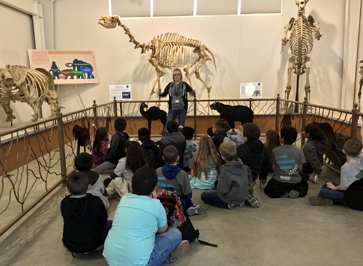 mskellyfournier's tweet photo. JMA 2nd grade exploring at the Fossil Discovery Center in Chowchilla, Ca!💚 #burtonstory https://t.co/Cg6SVYOTfK