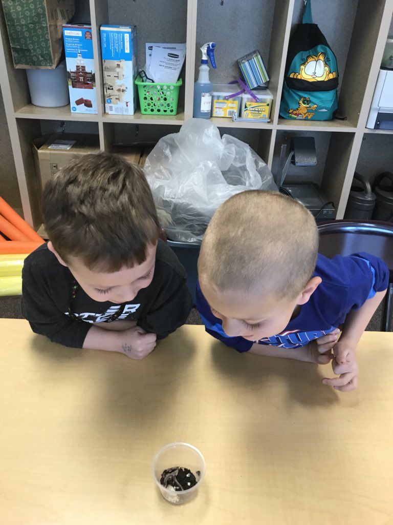 What a great way to spend a Friday! Science is fun was amazing! <a href="/DixonRoadElem/">DixonRoadDragonflies</a>