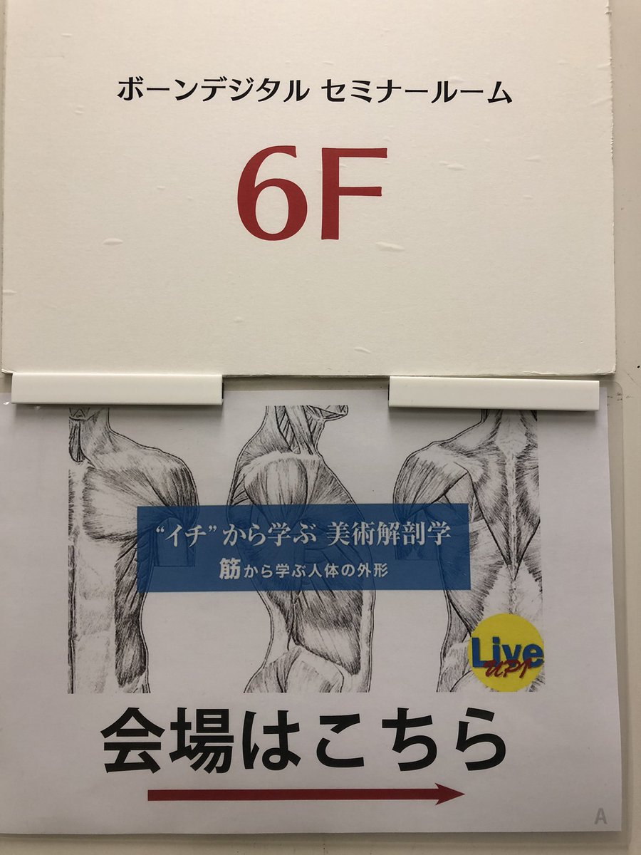 Sully ボーンデジタル 外肋間筋 内肋間筋 最内肋間筋 スペアリブも見てみてね 肋骨の間を繋ぐ筋 この筋の収縮で胸郭が拡がります 肺自体が膨らむわけではありません ハイ わかりました