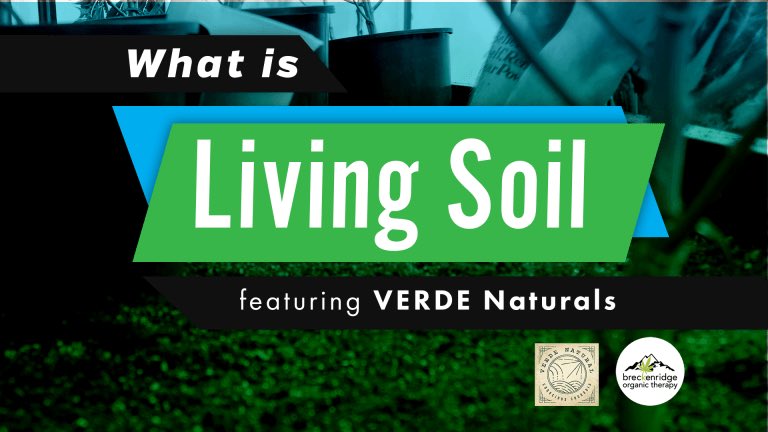 BreckenridgeBud's tweet photo. Stop in tomorrow Feb. 2nd to meet with a Verde Naturals rep for info on their living soil as well as some DabLogic deals, it’s one day only so don’t miss it! https://t.co/6DII53bSKa
#recreationalmarijuana #cannabiscommunity #flower #verde #verdenatural #organic #breckenridge https://t.co/7EUqiQCaNe