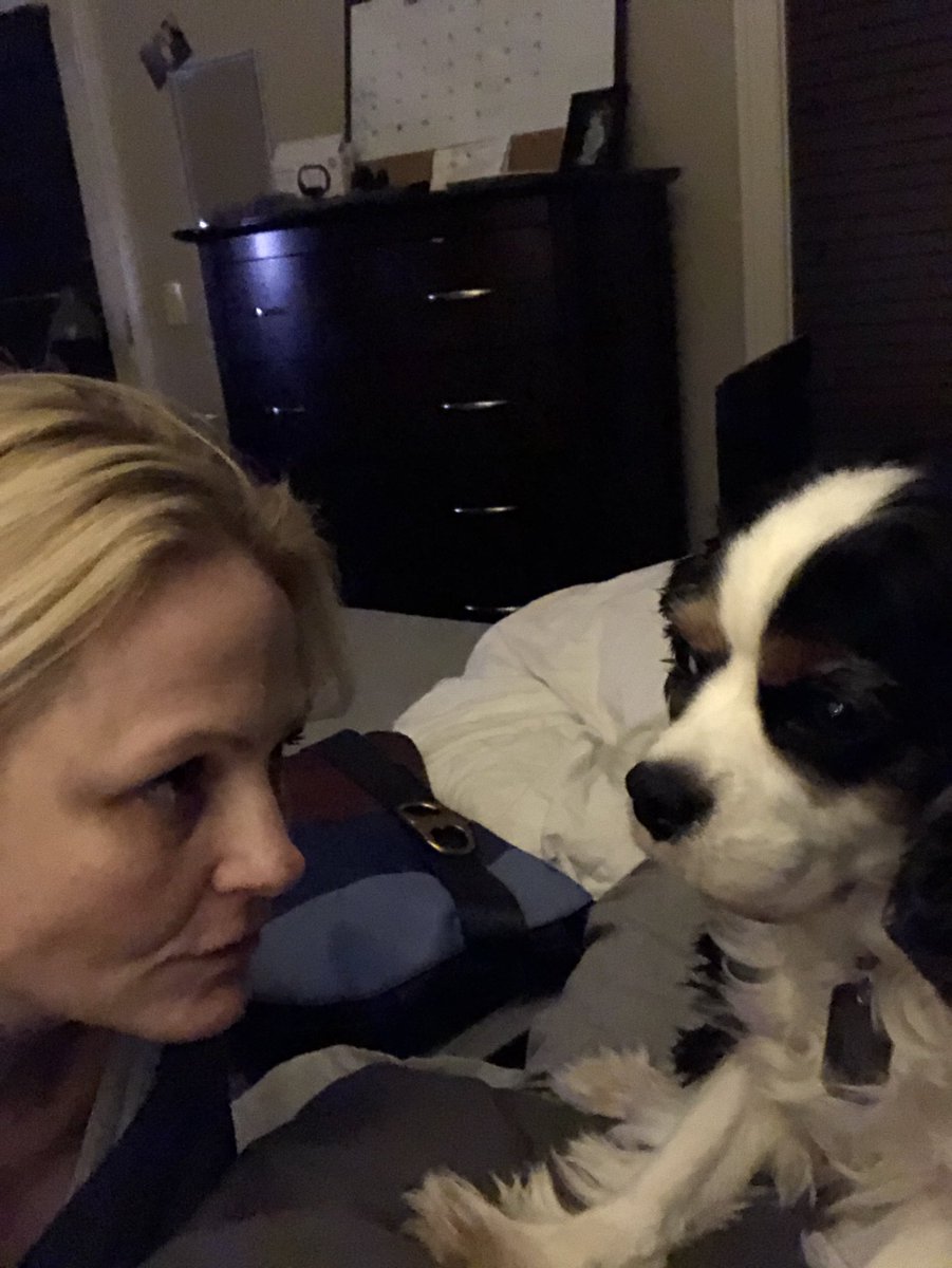 We have stare downs. 
#whatarebennyandiupto 
#bennyandme 
#dogstories 
#cavalierkingcharles