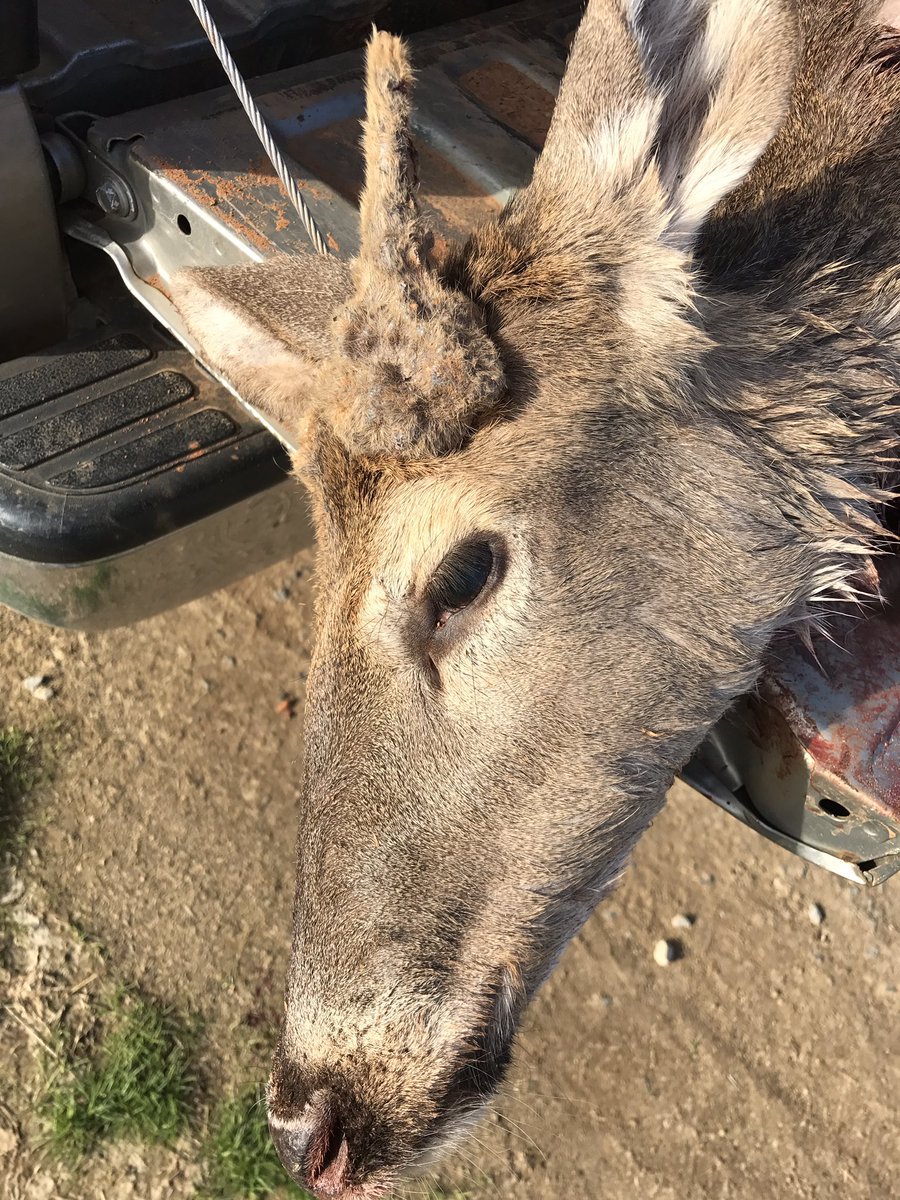 RobbieAngles's tweet image. 