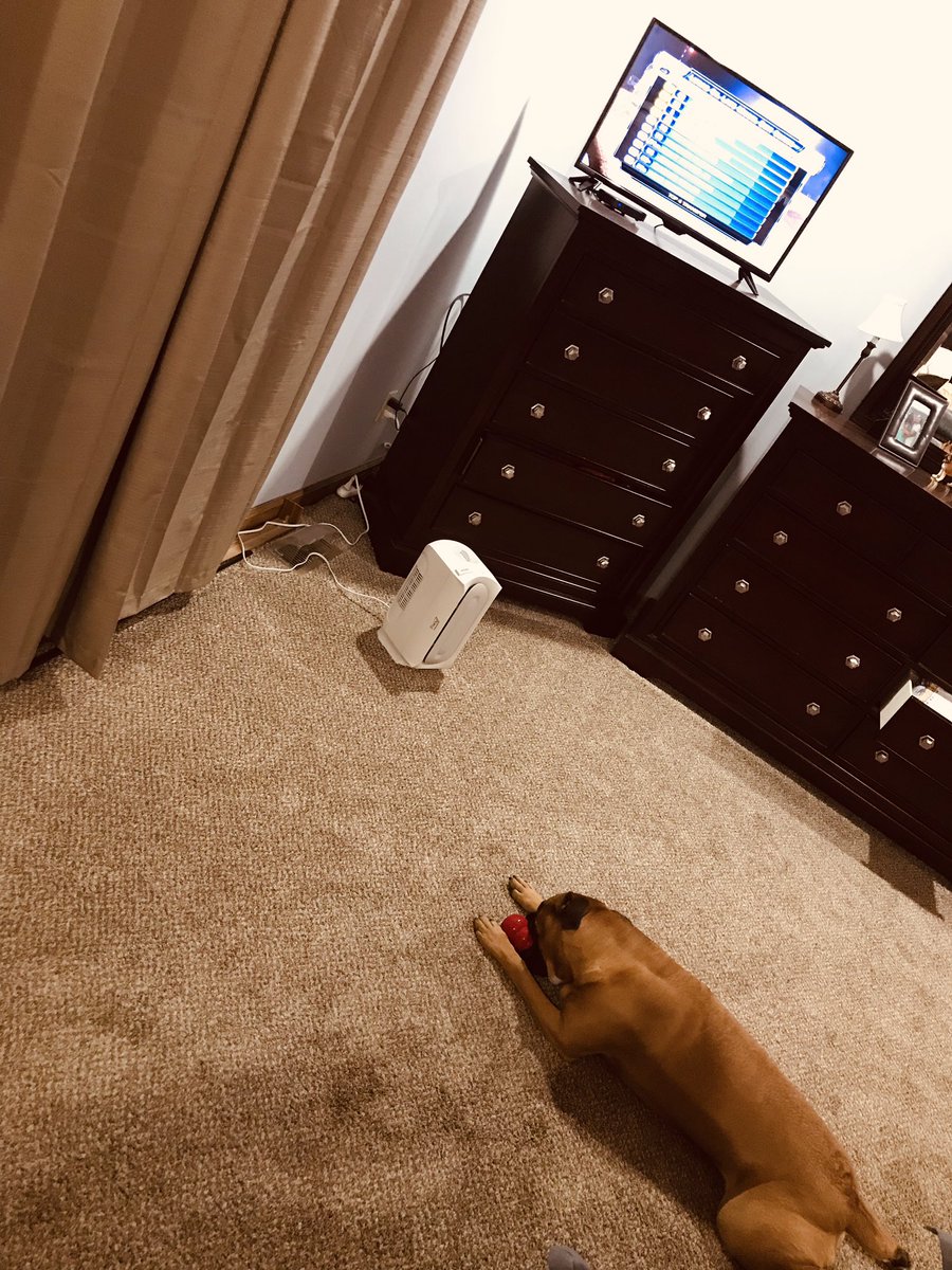 #tweetyourseat #speedweeks #lodlms #lucasoildirt #savagechassis #competitionracingequipment #dirtdog