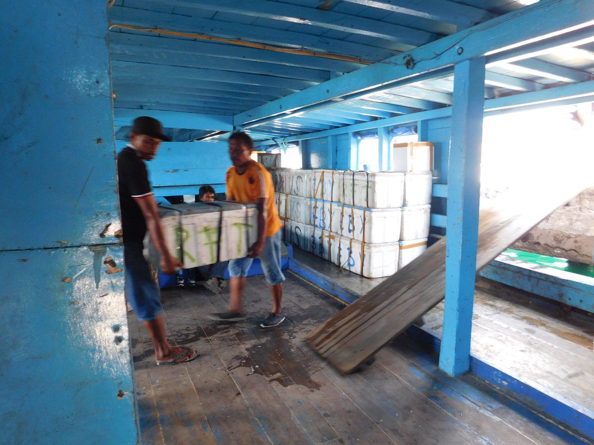 Skiluwukbanggai's tweet photo. 28/01/2019 #OneHealthKIPM pengawasan di Pelabuhan Banggai Laut KM. Eklesia Tujuan Luwuk Banggai.  
Oleh Petugas :
@wilkerbalut
@HumasBKIPM
@rinajanwar2201
@darwis_skipmlb
@l3o_Ramagusta
@medya1978 https://t.co/OZID9D5nUT