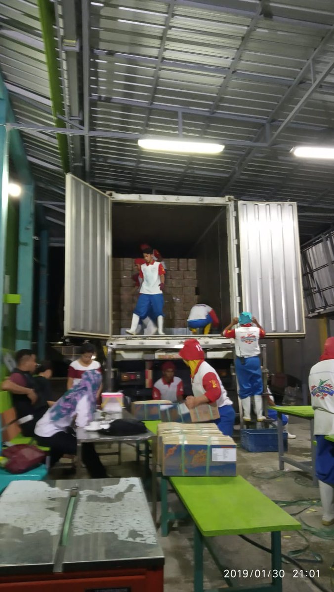 Skiluwukbanggai's tweet photo. 30/01/2019 #OneHealthKIPM Pengawasan staffing di CV Indotropic Fishery komoditi Octopus 
@HumasBKIPM
@rinajanwar2201
@darwis_skipmlb
@l3o_Ramagusta
@medya1978 https://t.co/oL5nQRxD3d
