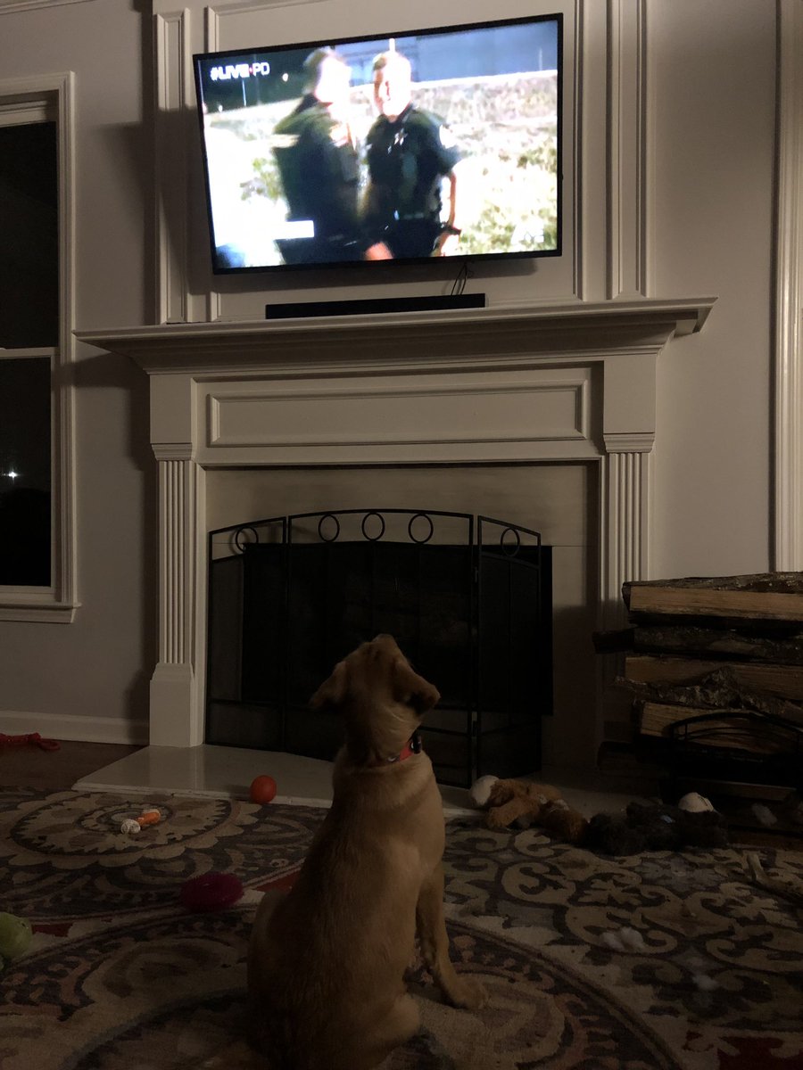vall_22's tweet photo. Just watching a little @OfficialLivePD with my pup 🐕 #LivePD #LivePDNation https://t.co/rn3xwxYquL