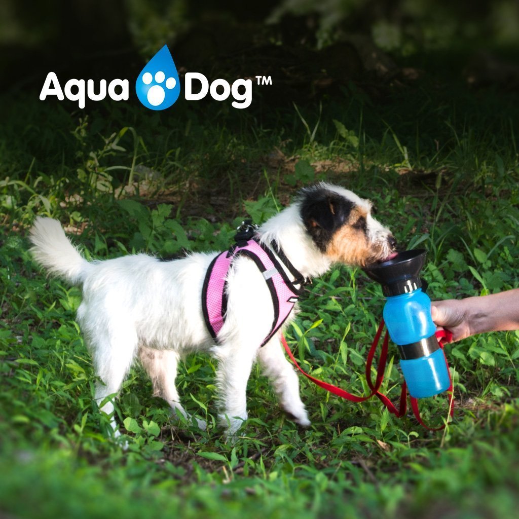 Aqua Dog Grab the deal now! earn.paypost.com/product/usersh…