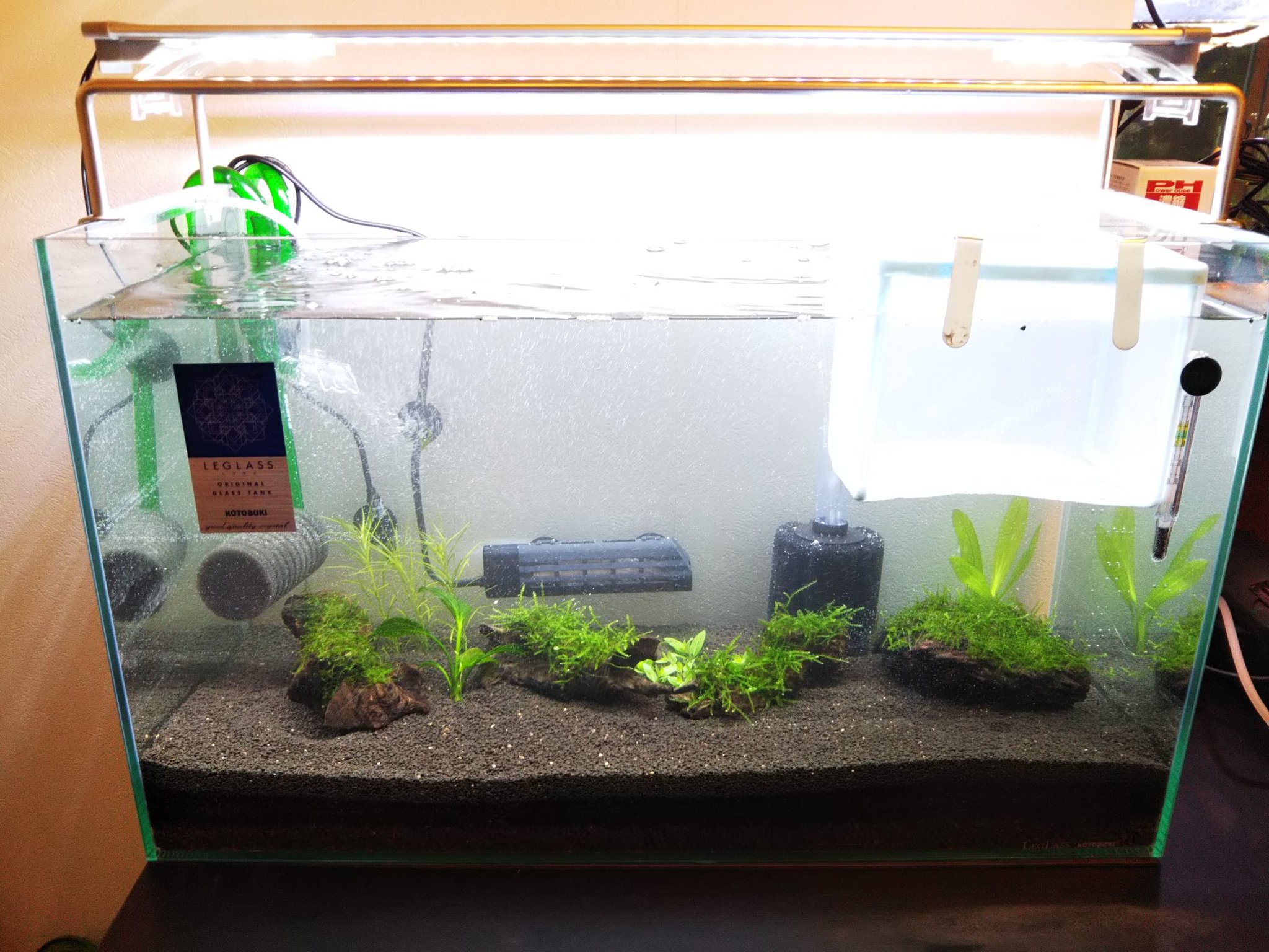 Aqua Fortune 今日は午前中にお客様からご依頼頂きえび水槽を設置してきました 60レギュラー水槽に外部フィルター スポンジfでクーラーも設置 ソイルはミネラルソイルとブラックソイルで9lです 水草は後日追加予定です えび投入