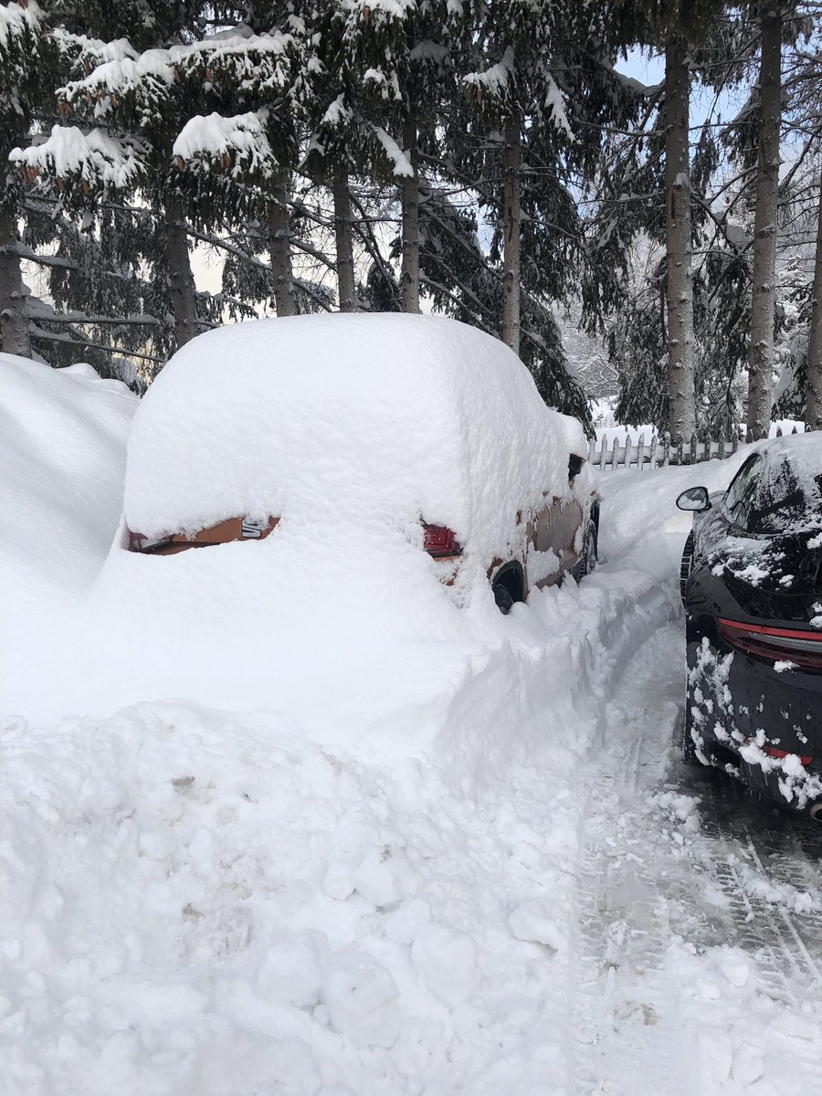 fahrschulgilgen's tweet photo. Zum Glück fahren wir erst morgen nach Hause, zur Zeit ist fast alles gesperrt 🤷♀️ #schnee #hotelbärpostzernez #gilgen #fahrschulegilgen #fahrschule #zernez #morgengymnastik #winter #Switzerland #ferien https://t.co/wX954VDnvM