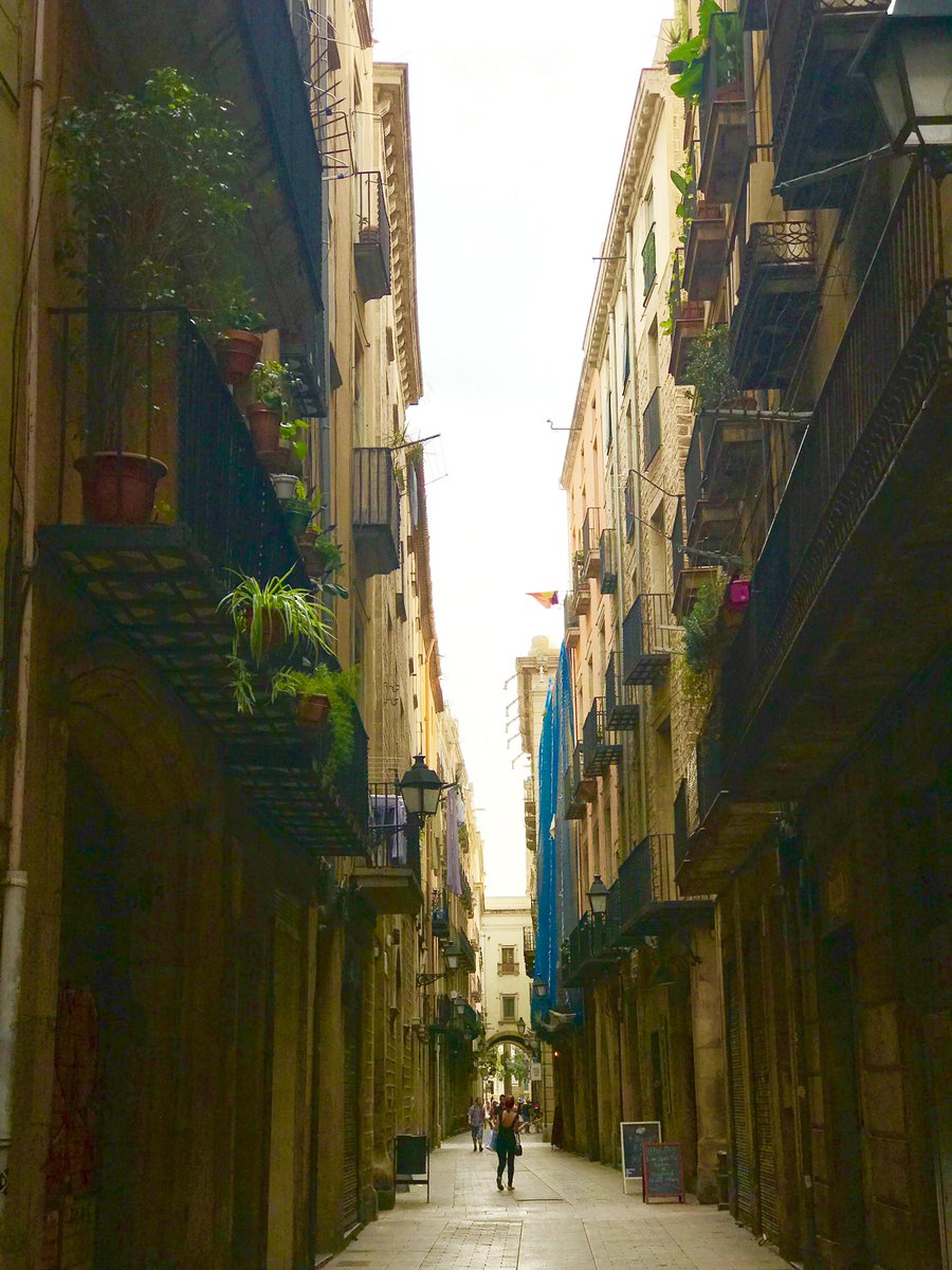 Weave: Travel tweet media