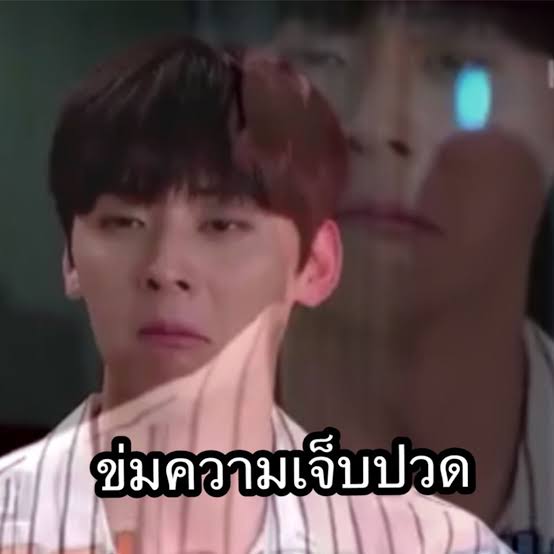 데이지 ‎✿ tweet media