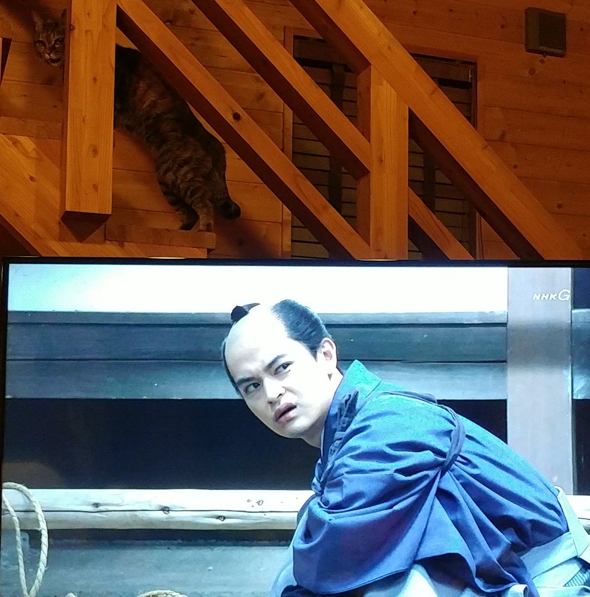 幕末グルメ ブシメシ Twitter Sogning 幕末グルメ ブシメシ Twitter Sogning
