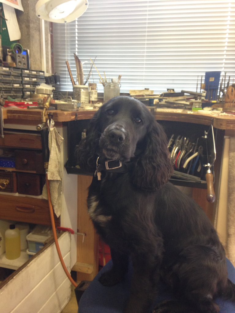 KTHallmark's tweet image. #WorkshopAssistant is looking forward to #DogBiscuitDay 🐶🍪