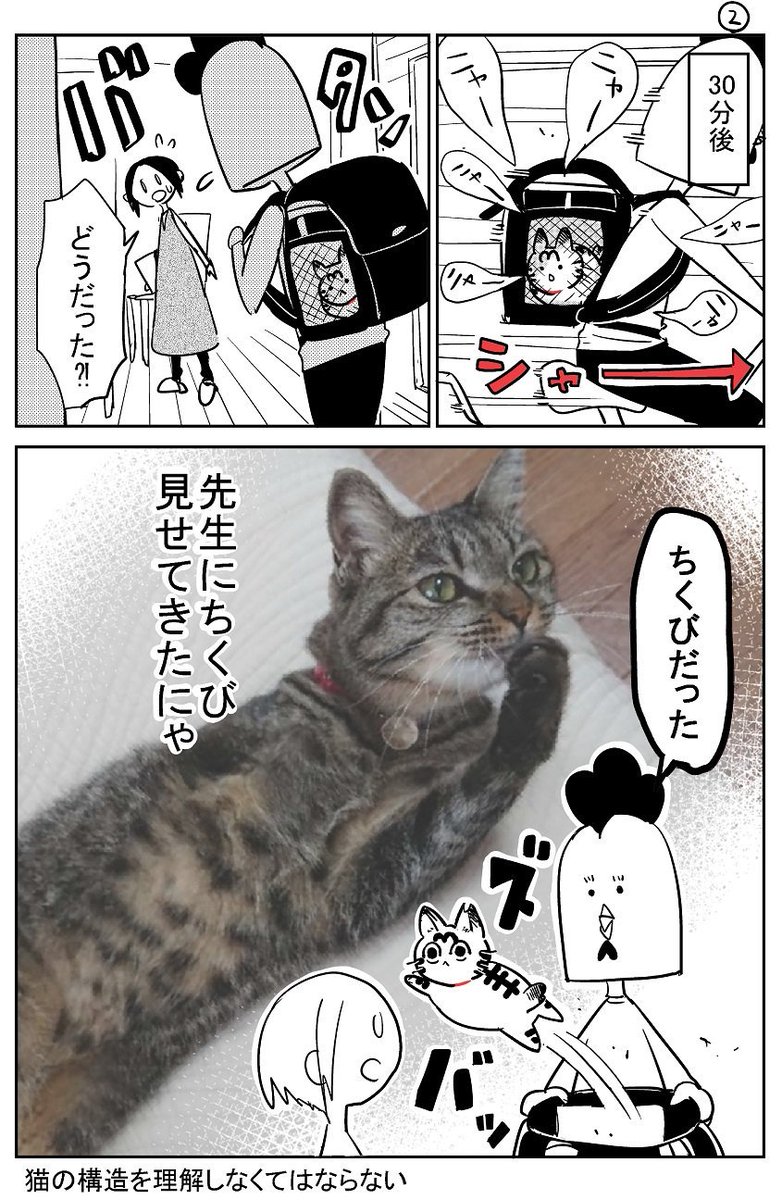 猫飼いました26 