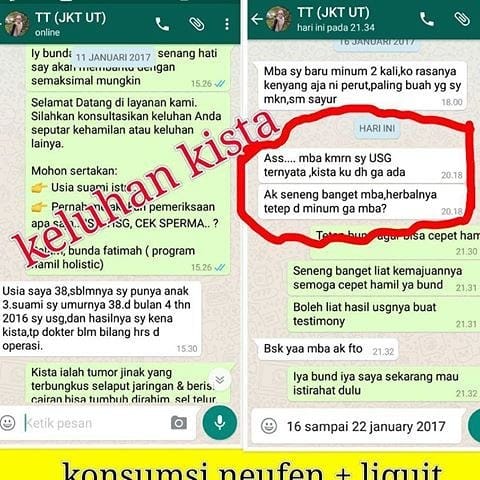 Programhamil8 tweet picture
