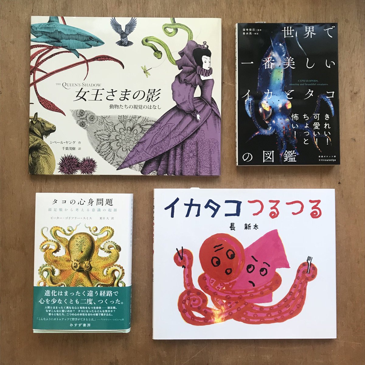 O Xrhsths Uresica ウレシカ Sto Twitter 入荷本 ミヤタさんの展示がika多めということで イカ タコ も が出てくる本を何冊か並べています 女王さまの影 世界で一番美しいイカとタコの図鑑 タコの心身問題 イカタコつるつる など ウレシカの本棚 O Xrhsths Uresica ウレシカ Sto Twitter 入荷本 ミヤタさんの展示がika多めということで イカ タコ も が出てくる本を何冊か並べています 女王さまの影 世界で一番美しいイカとタコの図鑑 タコの心身問題 イカタコつるつる など ウレシカの本棚